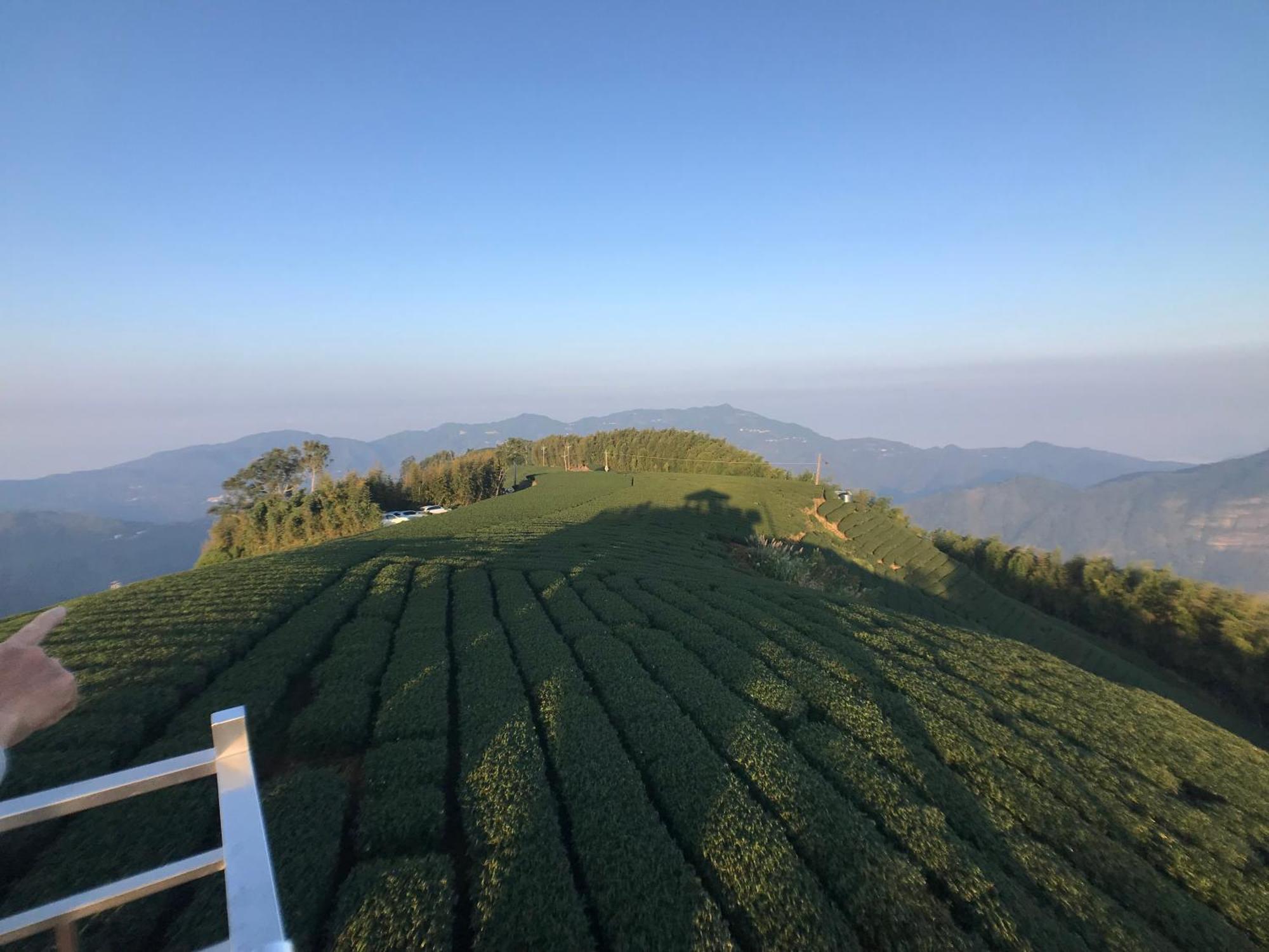 De Ren Tea Gardens Apartment Meishan Exterior photo