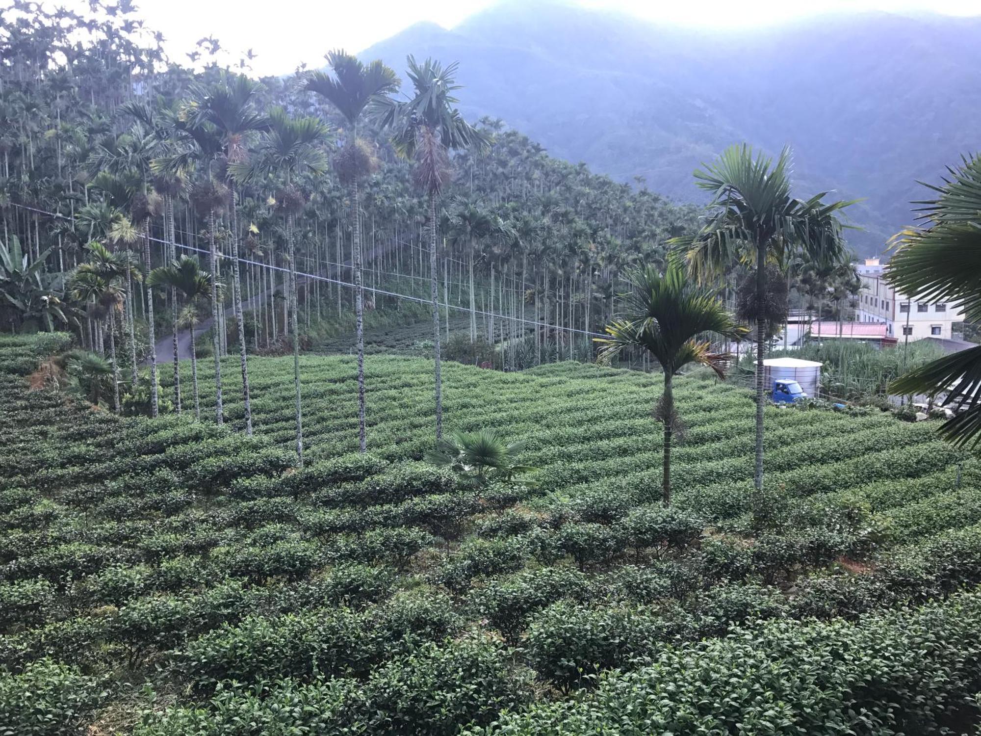 De Ren Tea Gardens Apartment Meishan Exterior photo