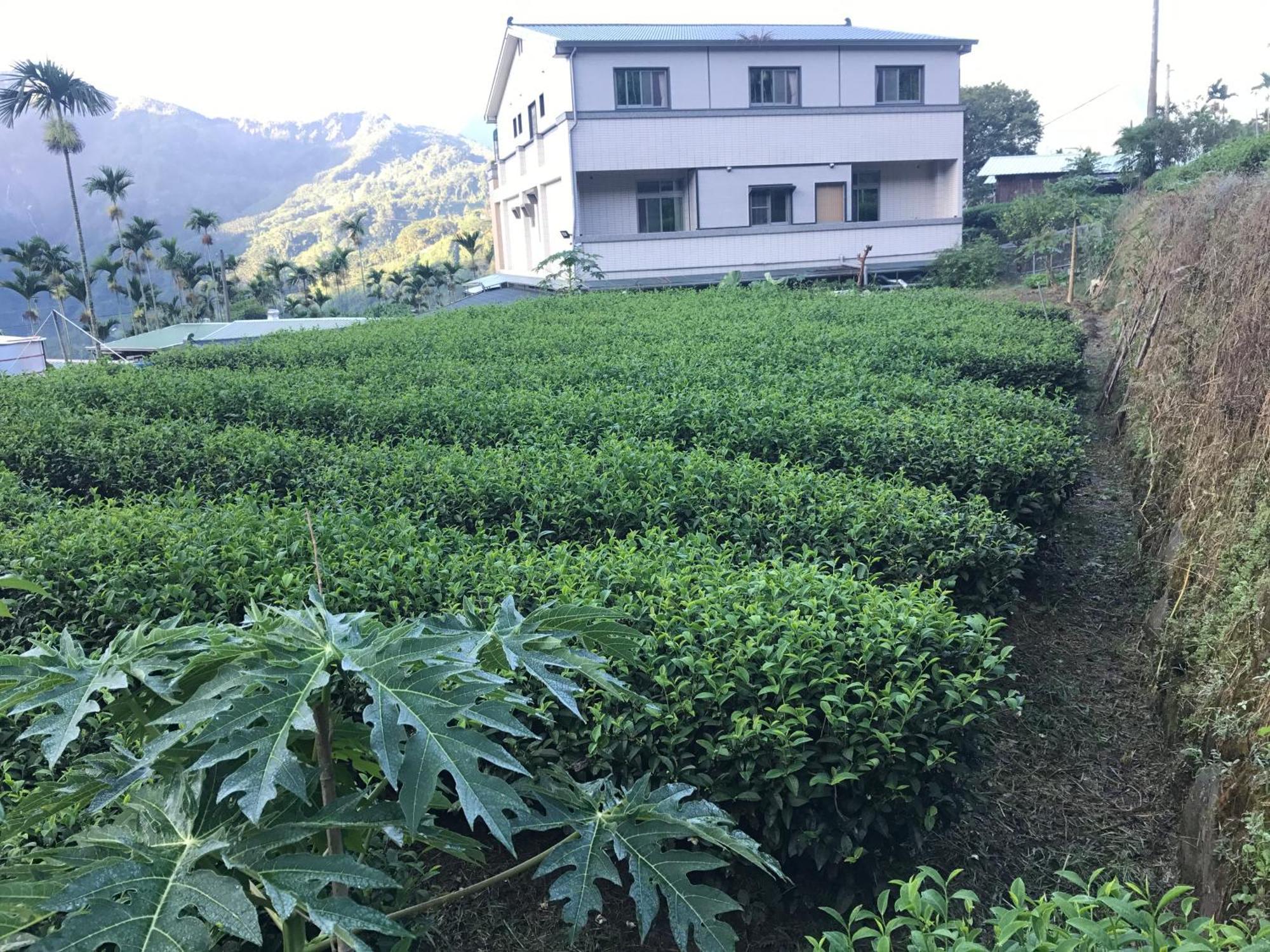 De Ren Tea Gardens Apartment Meishan Exterior photo